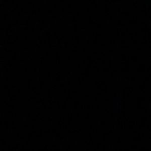 Meet your Posher, Griffin